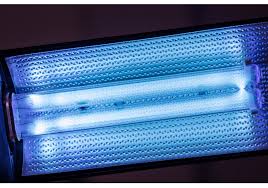 Lorem Ipsum Image Three