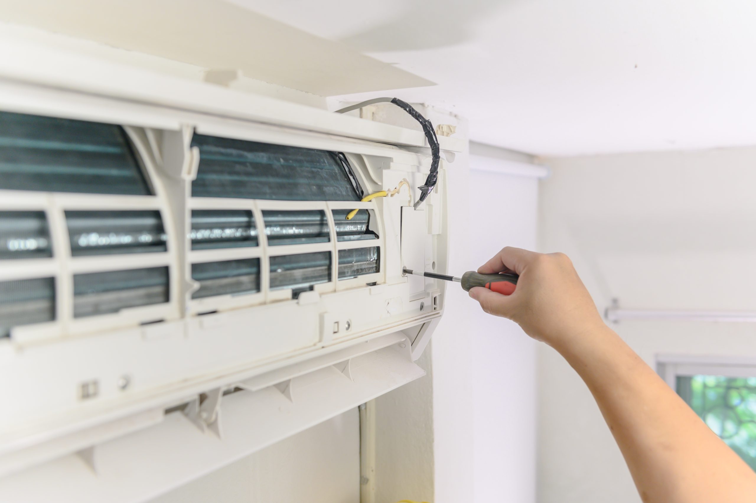 Lorem Ipsum Image Three