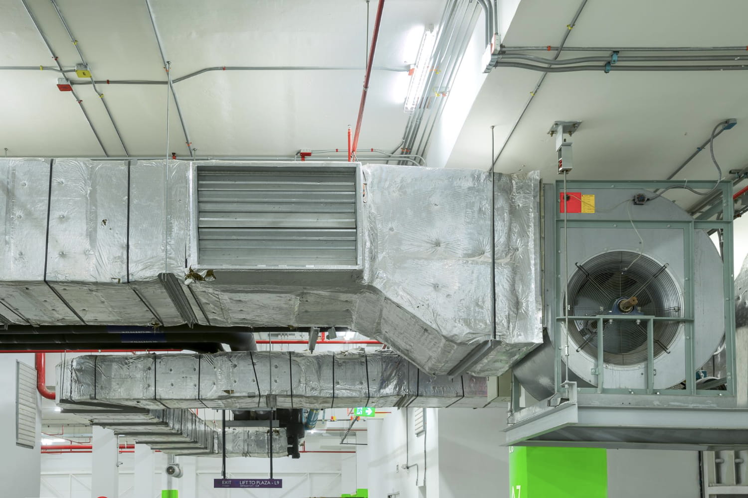 Lorem Ipsum Image Three