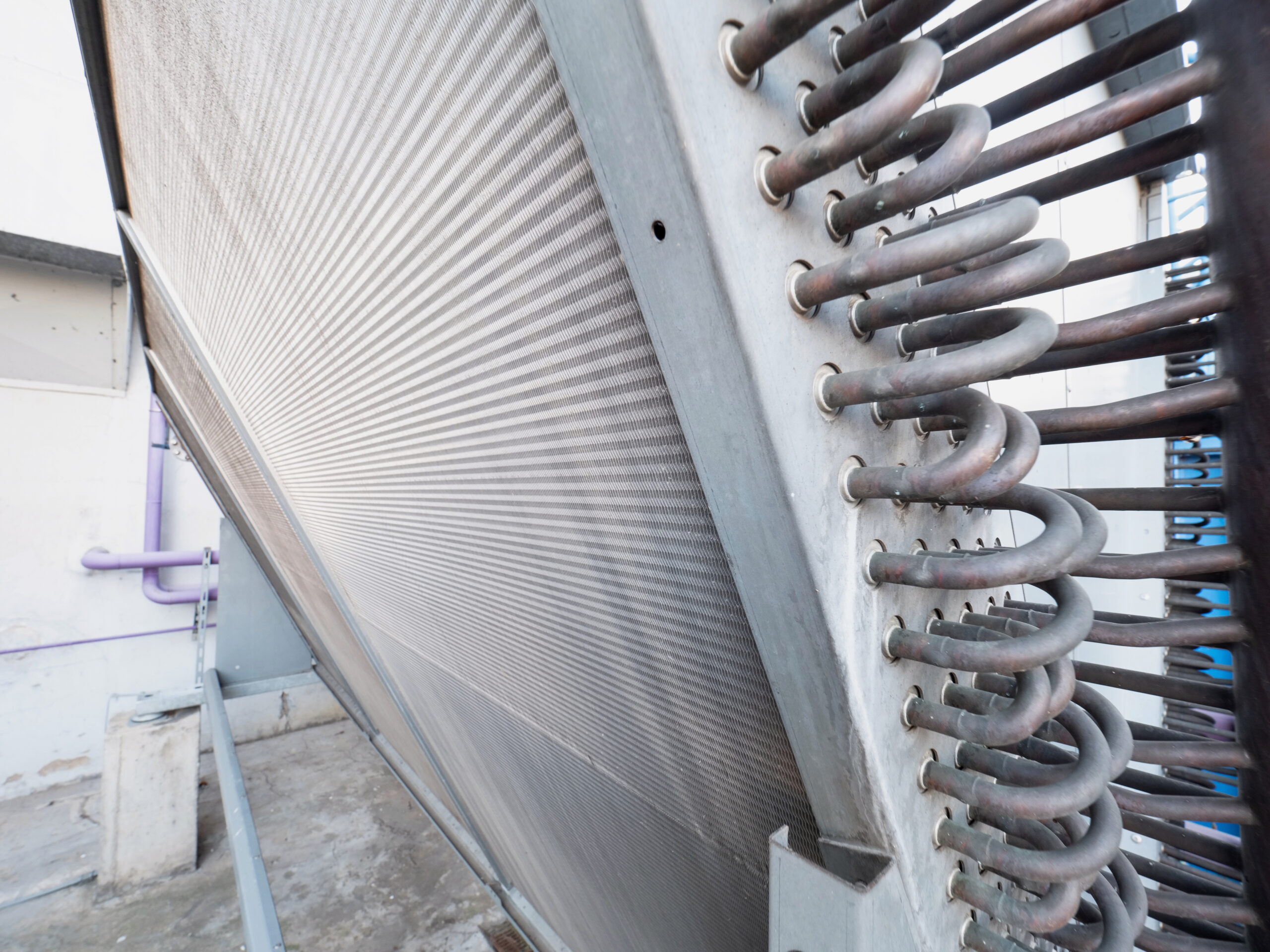 Lorem Ipsum Image Two